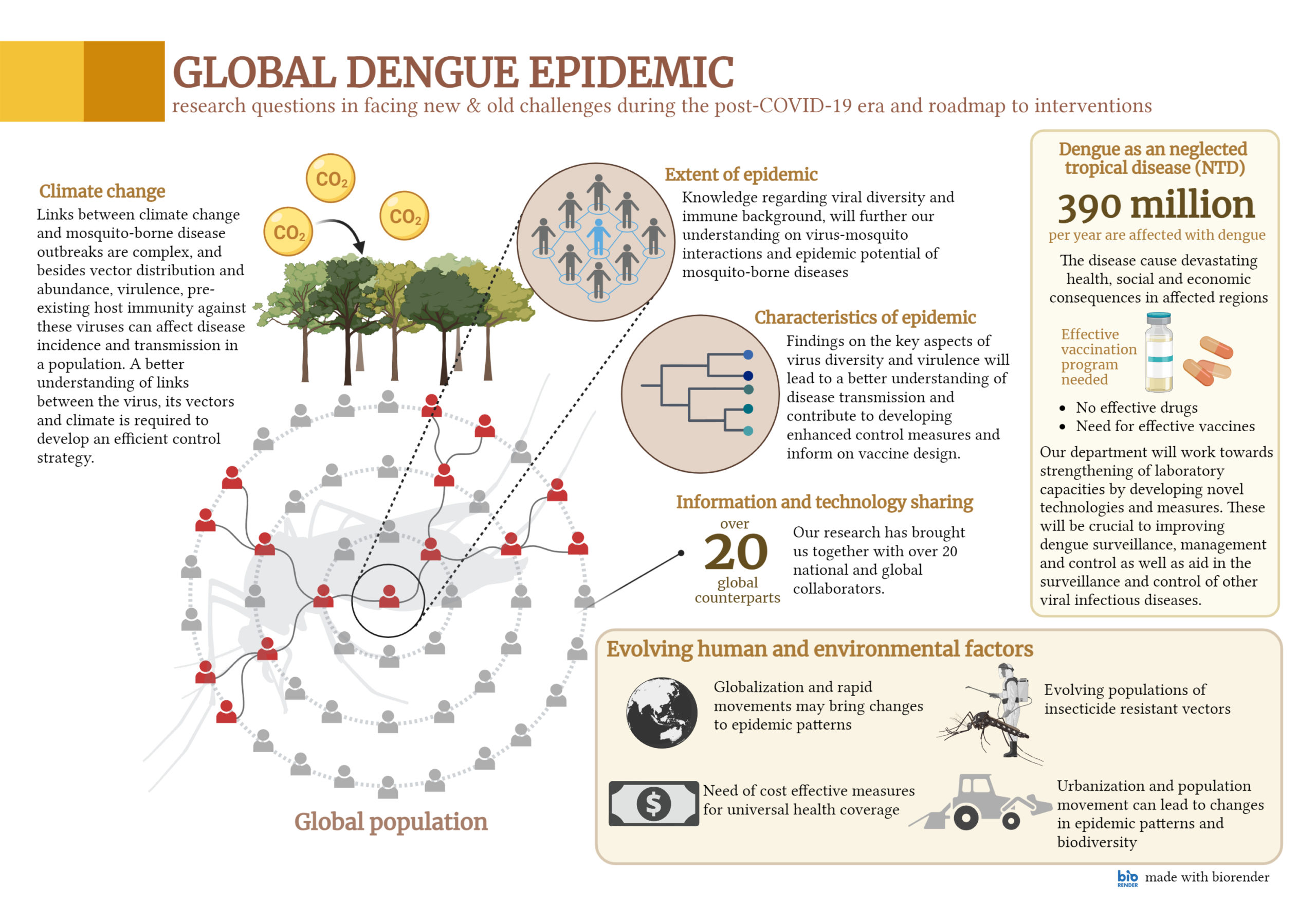 global dengue epidemic